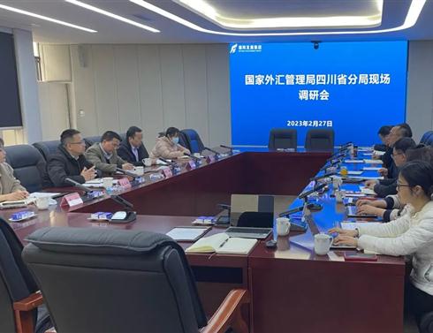 国家外汇管理局四川省分局项目管理处副处长程举一行到集团现场调研